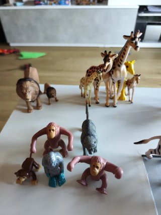 Animales varios