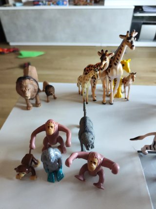 Animales varios