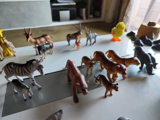 Animales varios