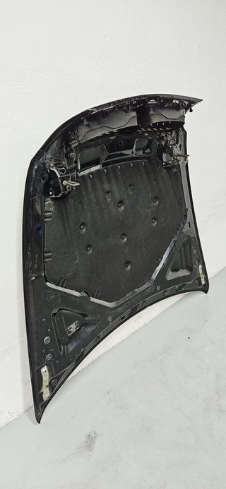 Capó BMW X5 E70 2010-2013 7486754