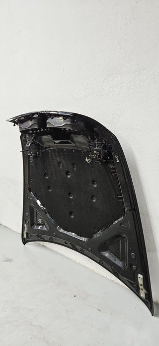 Capó BMW X5 E70 2010-2013 7486754
