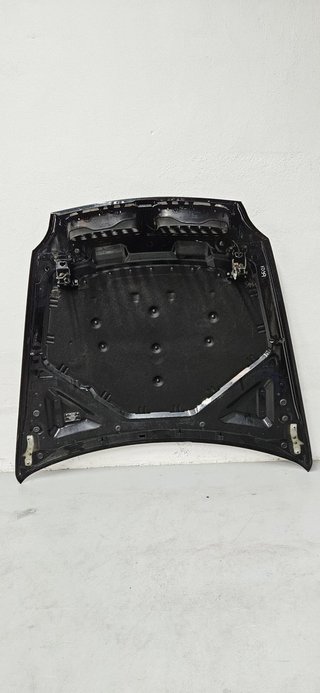 Capó BMW X5 E70 2010-2013 7486754