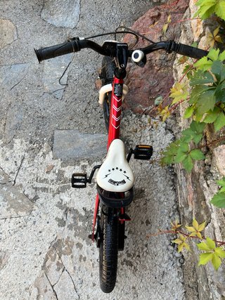 Bicicleta Infantil RoyalBaby Freestyle 14