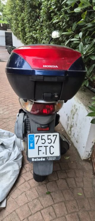 Scooter Honda Scoopy 125