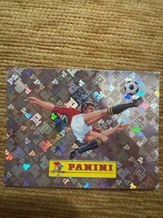 Cromo Panini 00