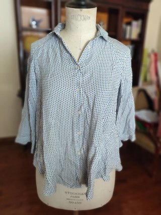Camisa Massimo Dutti Azul y Blanco