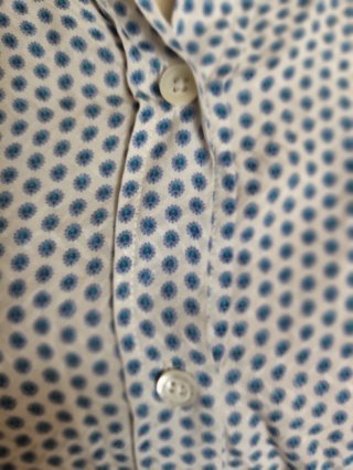 Camisa Massimo Dutti Azul y Blanco