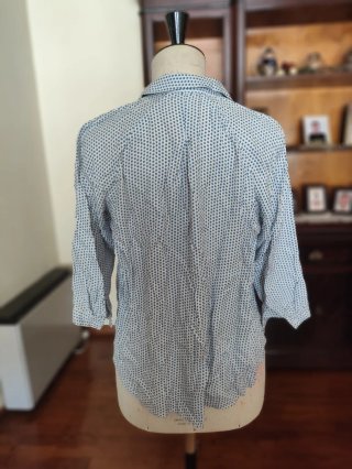 Camisa Massimo Dutti Azul y Blanco