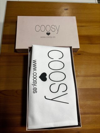 Zapatos de fiesta Coosy