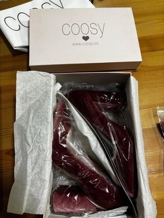 Zapatos de fiesta Coosy