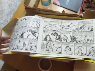 Colección comics facsímil El Chachorro y Purk