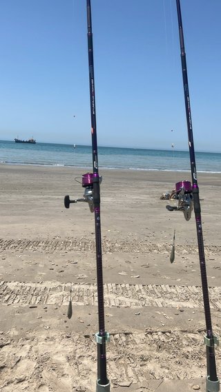 2 Cañas de Pesca cinnetic skyline purple 4.20