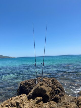 2 Cañas de Pesca cinnetic skyline purple 4.20
