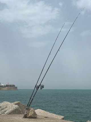 2 Cañas de Pesca cinnetic skyline purple 4.20