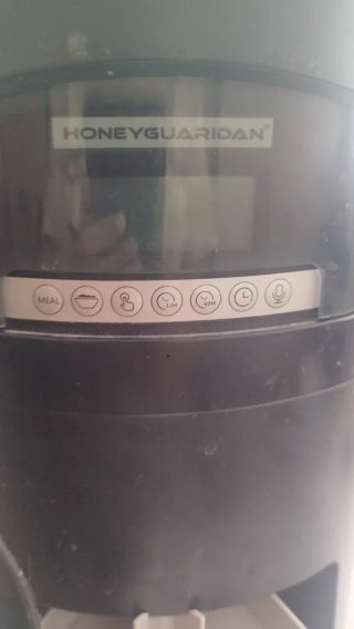 Comedero automático para 2 mascotas