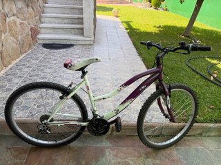 Bicicleta Denver Mountain Series 50