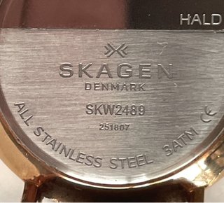 Reloj Skagen Mujer Beige y Dorado