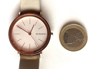 Reloj Skagen Mujer Beige y Dorado