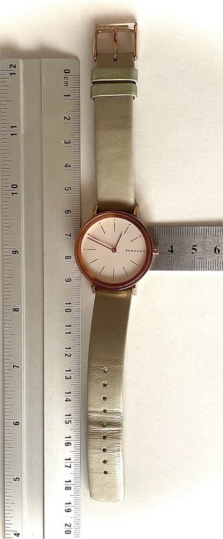 Reloj Skagen Mujer Beige y Dorado