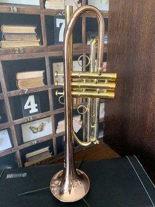 Trompeta Sib Nueva
