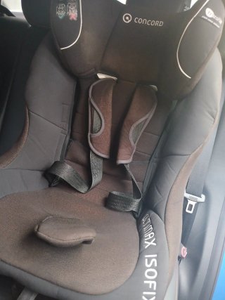 Silla coche isofix Concord