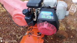 Motoazada Damar Honda GC160 5.5 HP