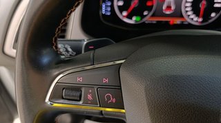 Seat Leon Titan Desert