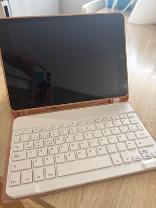 iPad 9ª Gen Gris/Rosa