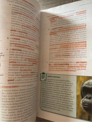 Piscología, 2o Bachillerato