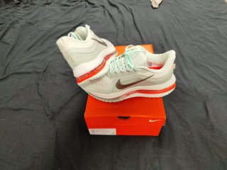 Zapatillas Nike Pegasus