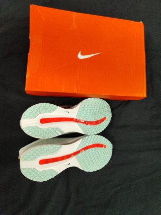 Zapatillas Nike Pegasus
