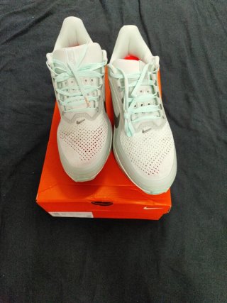 Zapatillas Nike Pegasus