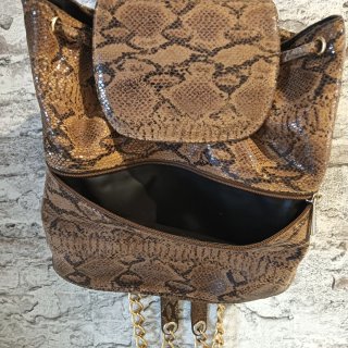Bolso de serpiente marrón y dorado