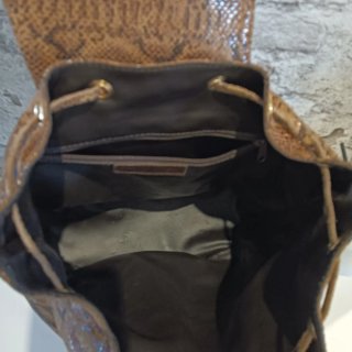 Bolso de serpiente marrón y dorado