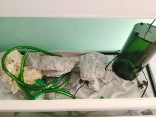 Acuario 140L con mueble y extras