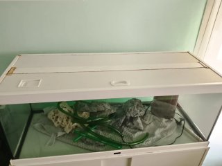 Acuario 140L con mueble y extras