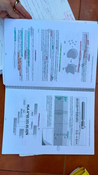 Medicina Carrera