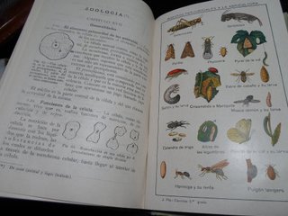 2 Libros Escolares Antiguos - 1941 y 1930