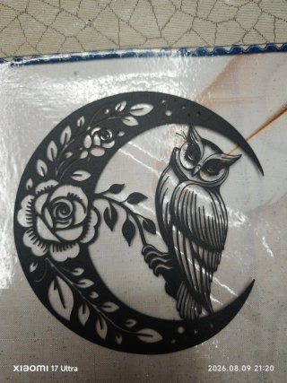 Decorazione Gufo sulla Luna