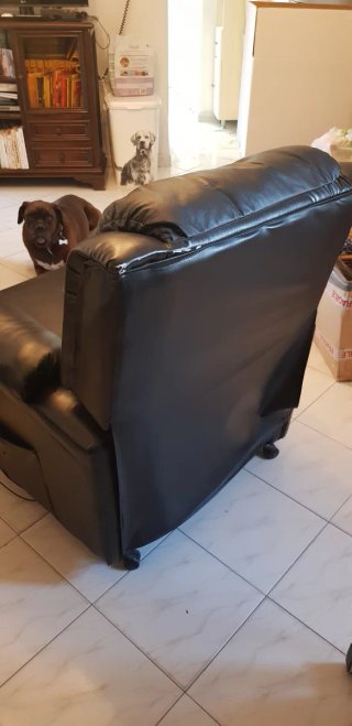 N. 2 Poltrone in similpelle nera