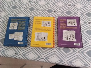 Diari del Greg 2,4 i 5