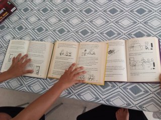 Diari del Greg 2,4 i 5