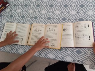 Diari del Greg 2,4 i 5
