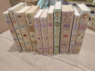Lote libros RBA