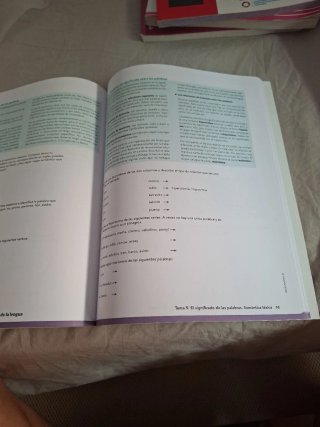 Libro de lengua castellana 1r de Bachillerato