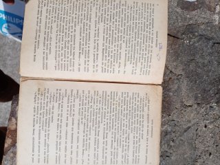 David Copperfield - Charles Dickens