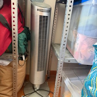 Ventilador Rowenta Gris