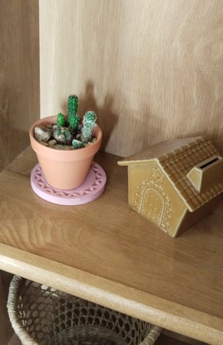 Mix de Cactus Variados en Maceta de Barro Ø9,5 cm
