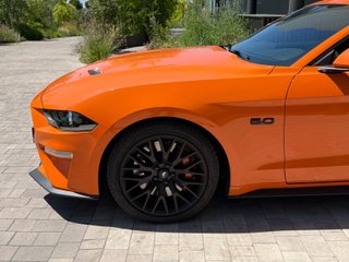 Ford Mustang Ford Mustang 5.0 Ti-VCT V8 331kW Mustang GT (Fastb.)