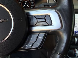 Ford Mustang Ford Mustang 5.0 Ti-VCT V8 331kW Mustang GT (Fastb.)